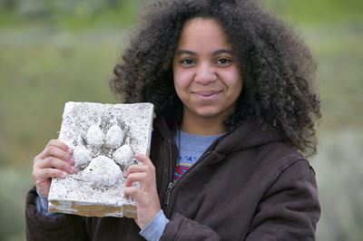 Young wildlife watcher holding up plaster cast of wolf footprint, Yellowstone National Park, USA 