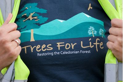 Trees for Life t-shirt worn by tree planting volunteer, Scotland.. 