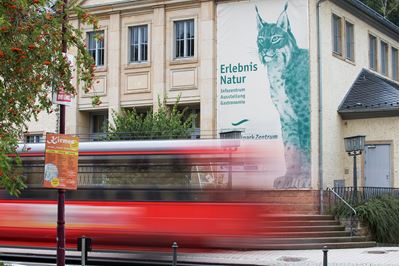 Information Centre for Saxon Schweiz National Park in Germany promoting lynx as a symbol of wildness. 