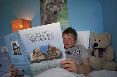 Young boy reading book about wolves. 