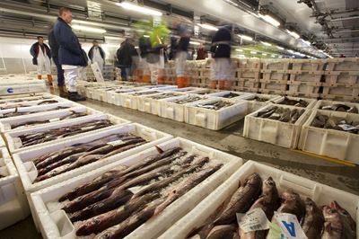 Peterhead Fish Market, Scotland. 