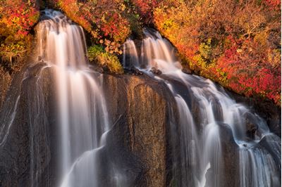 Waterfall emerging from lava bed in autumn, Husavik, Iceland. 